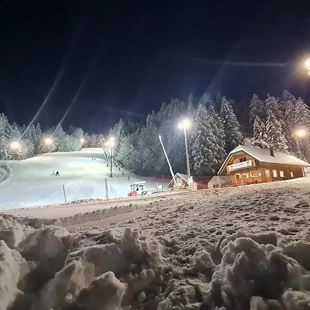 Na žagi