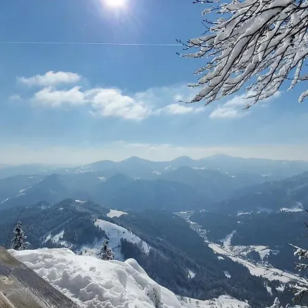 公寓 Na žagi *